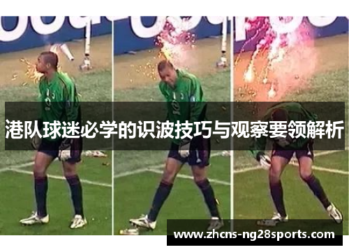 港队球迷必学的识波技巧与观察要领解析
