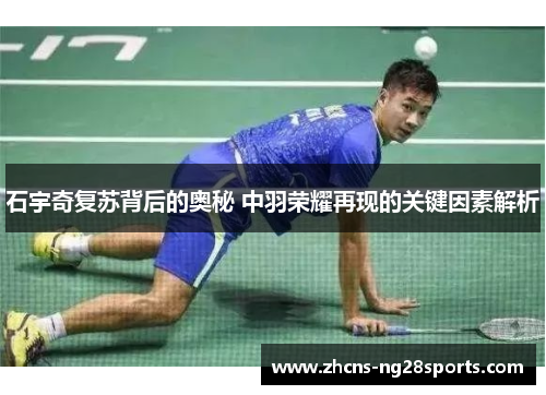 石宇奇复苏背后的奥秘 中羽荣耀再现的关键因素解析