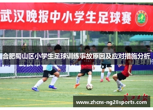 合肥蜀山区小学生足球训练事故原因及应对措施分析