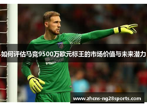 如何评估马竞9500万欧元标王的市场价值与未来潜力