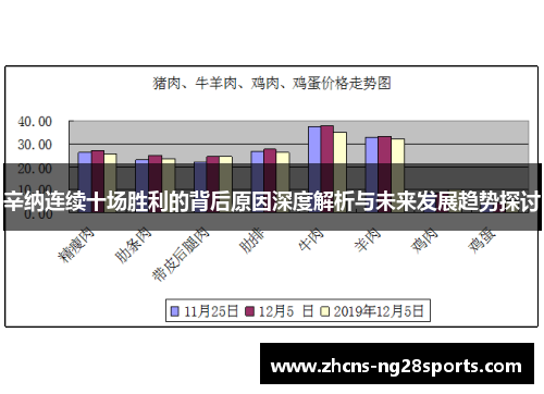 辛纳连续十场胜利的背后原因深度解析与未来发展趋势探讨