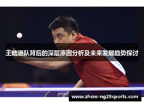 王皓退队背后的深层原因分析及未来发展趋势探讨 王皓退队背后的深层原因分析及未来发展趋势探讨