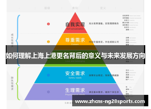 如何理解上海上港更名背后的意义与未来发展方向