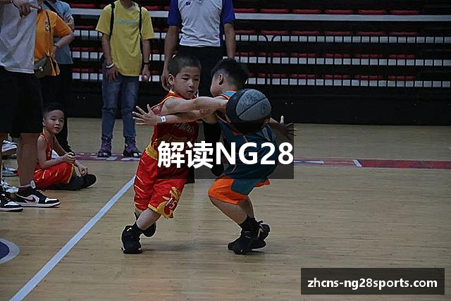 解读NG28